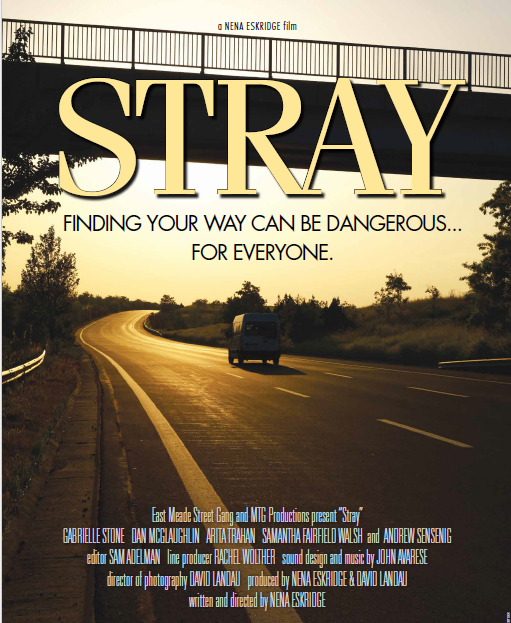 STRAY POSTER SCREENSHOT